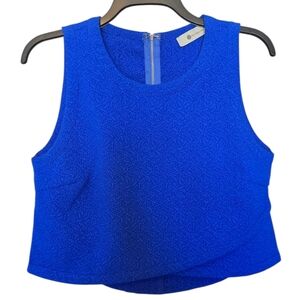 The Impeccable Pig Blue Crop Top Size Medium